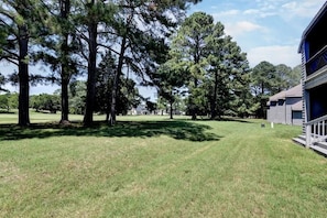 A grassy lawn with tall trees and a building with a porch.