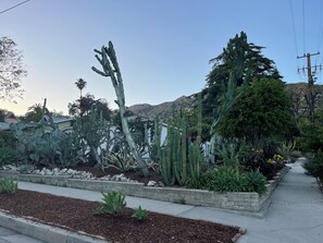 A garden with various cacti and succulents, a paved walkway, and a mountain in the background. - Lovely 3-bedroom house with AC in peaceful Sierra Madre at base of Mount Wilson. (Sierra Madre)