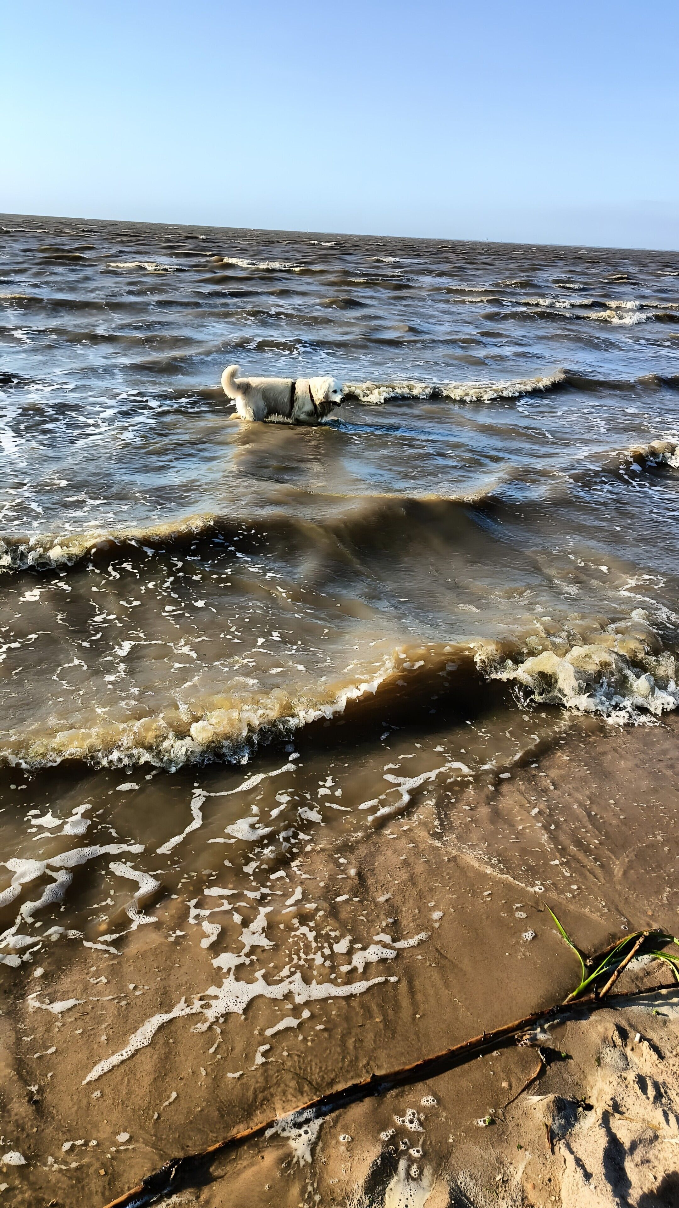 Strand