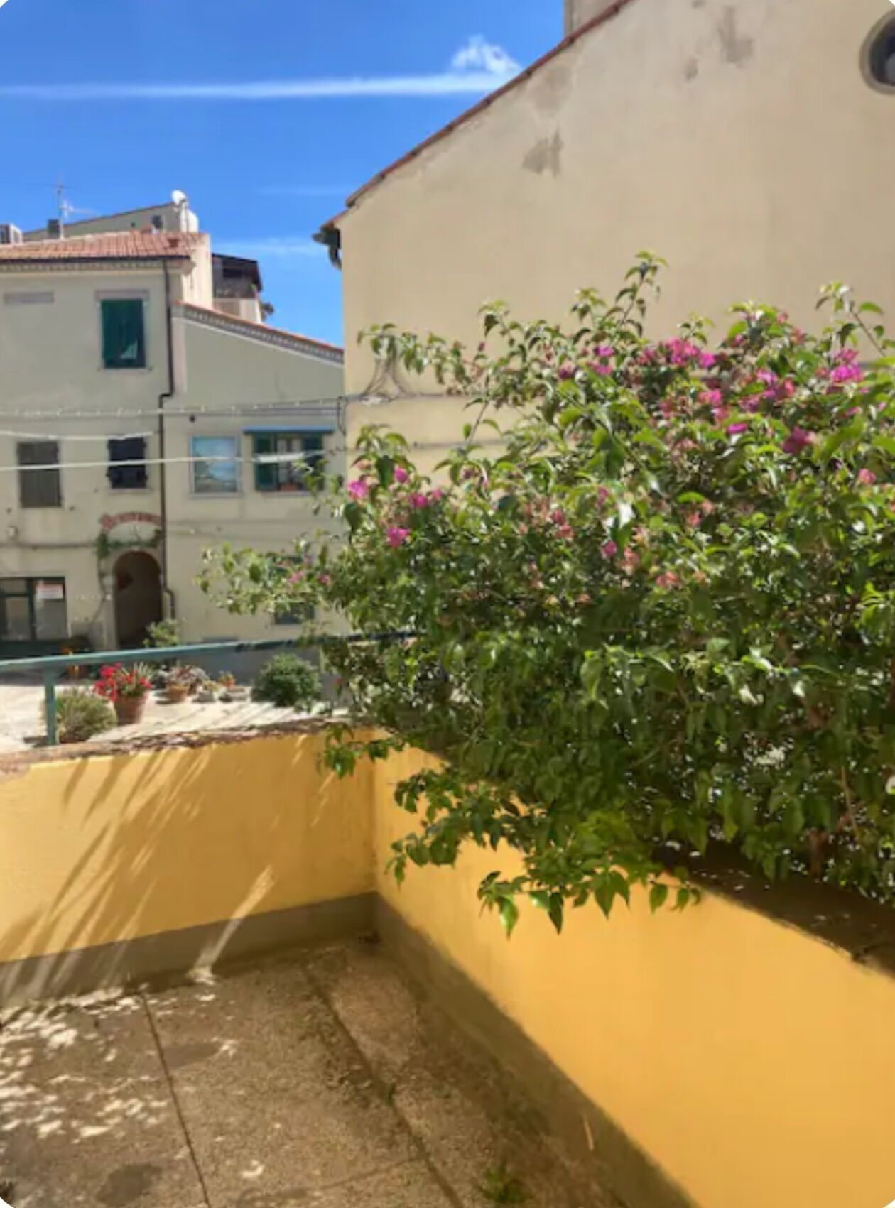 A balcony with a yellow wall and a flowering bush. - Apartment for 4 People on Elba Island - San Piero (Marina di Campo) (San Piero In Campo)