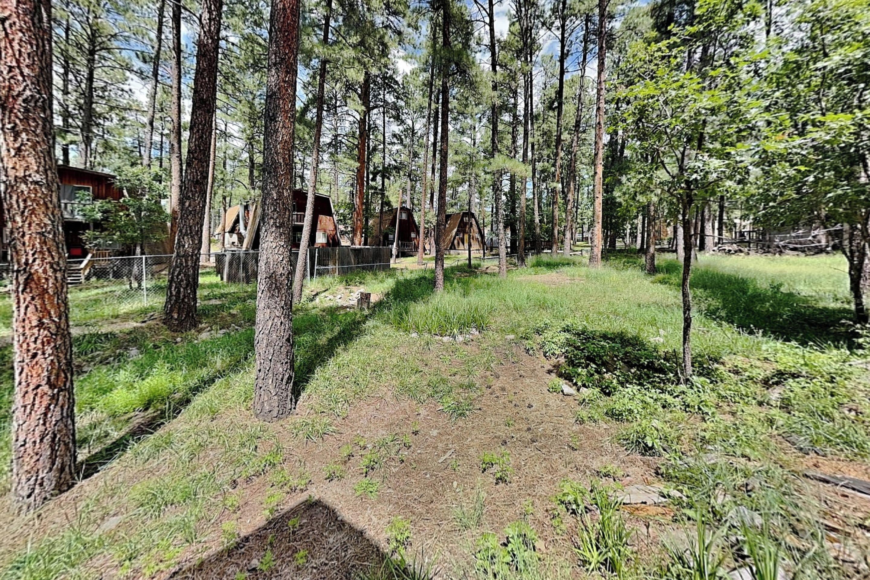Un área boscosa con un sendero de tierra que lleva a una cabaña.
