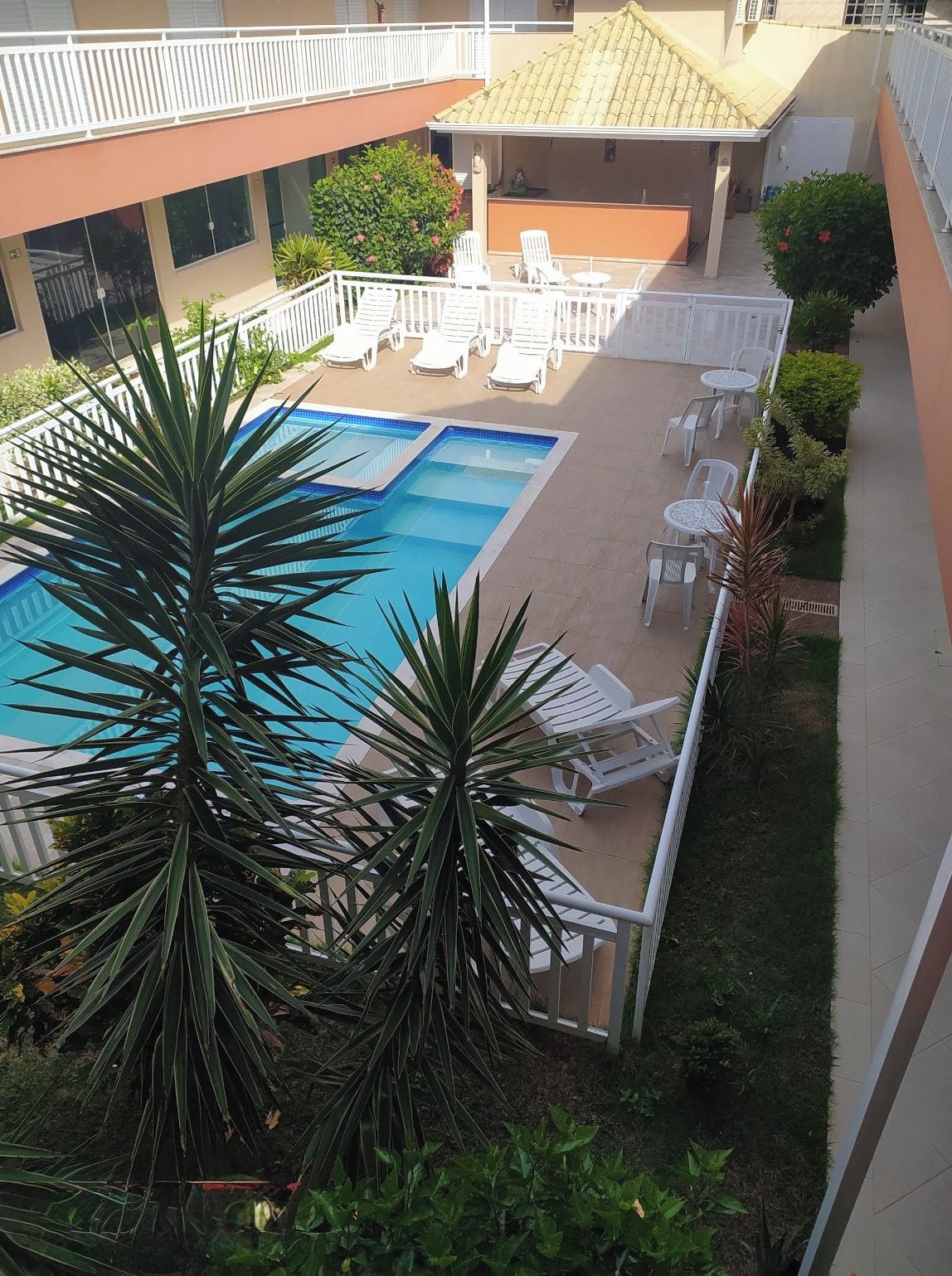 Un espace piscine aménagé sur le toit, avec des chaises longues et un palmier.