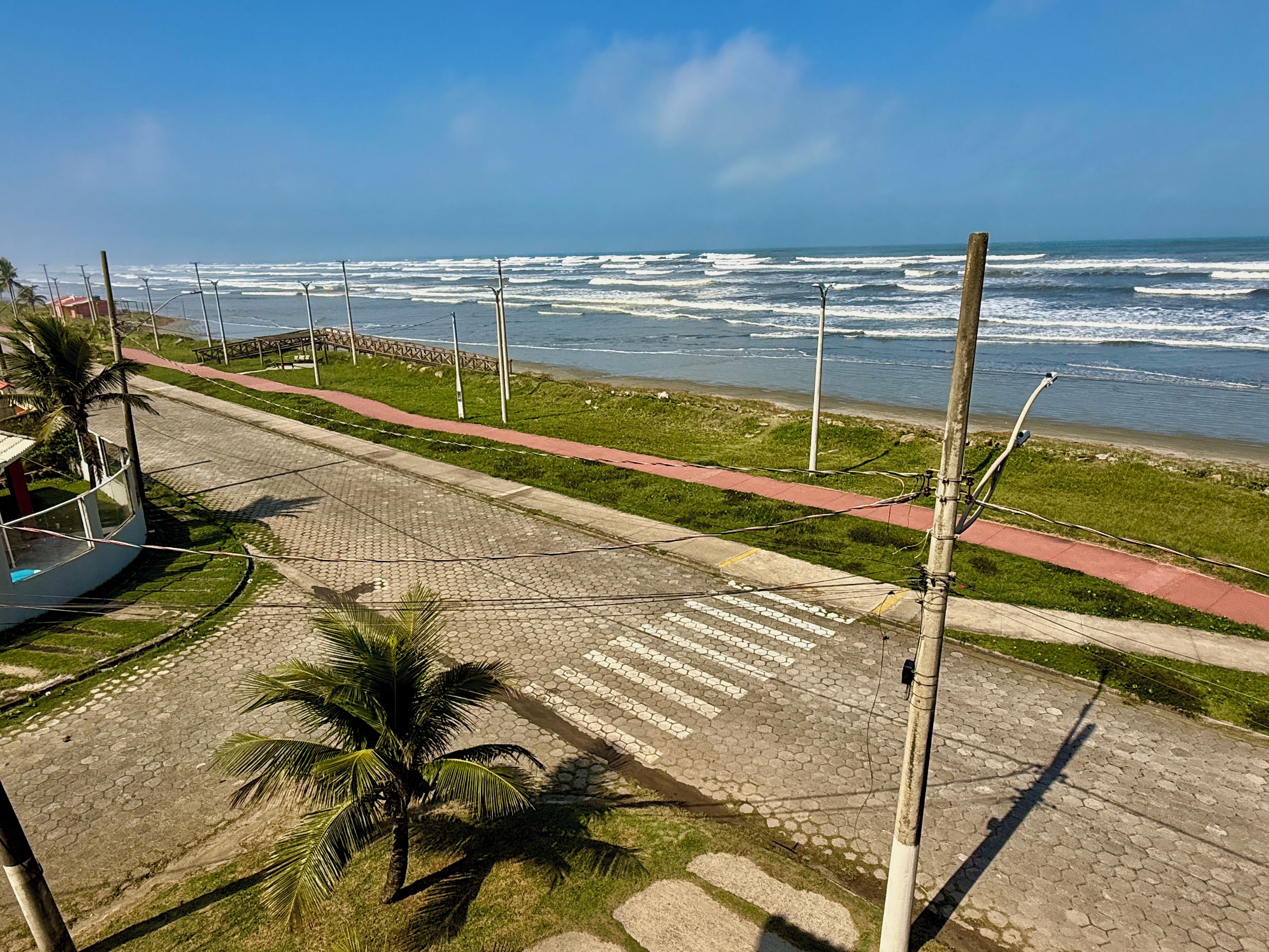 Un paseo marítimo con una palmera, un sendero pavimentado y vistas al océano.