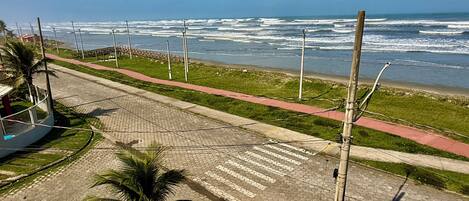 A coastal walkway with a palm tree, a paved path, and a view of the ocean.
