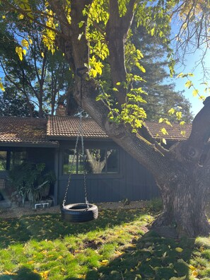A tree with a tire swing hanging from its branches, a house with a tiled roof, and a grassy yard with fallen leaves. - Charming 3-bedroom house in adorable Kenwood with cool vibes (Kenwood)