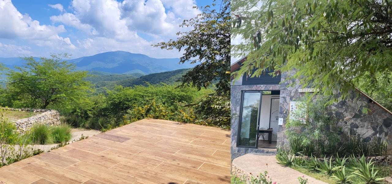 Una terraza de madera con vistas a montañas, un muro de piedra con puerta de cristal y un jardín con diversas plantas.