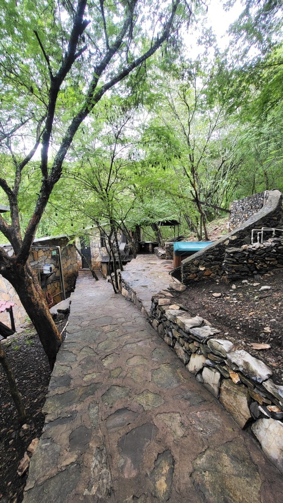 A stone pathway leading through a wooded area with a stone wall on one side and a covered seating area on the other.