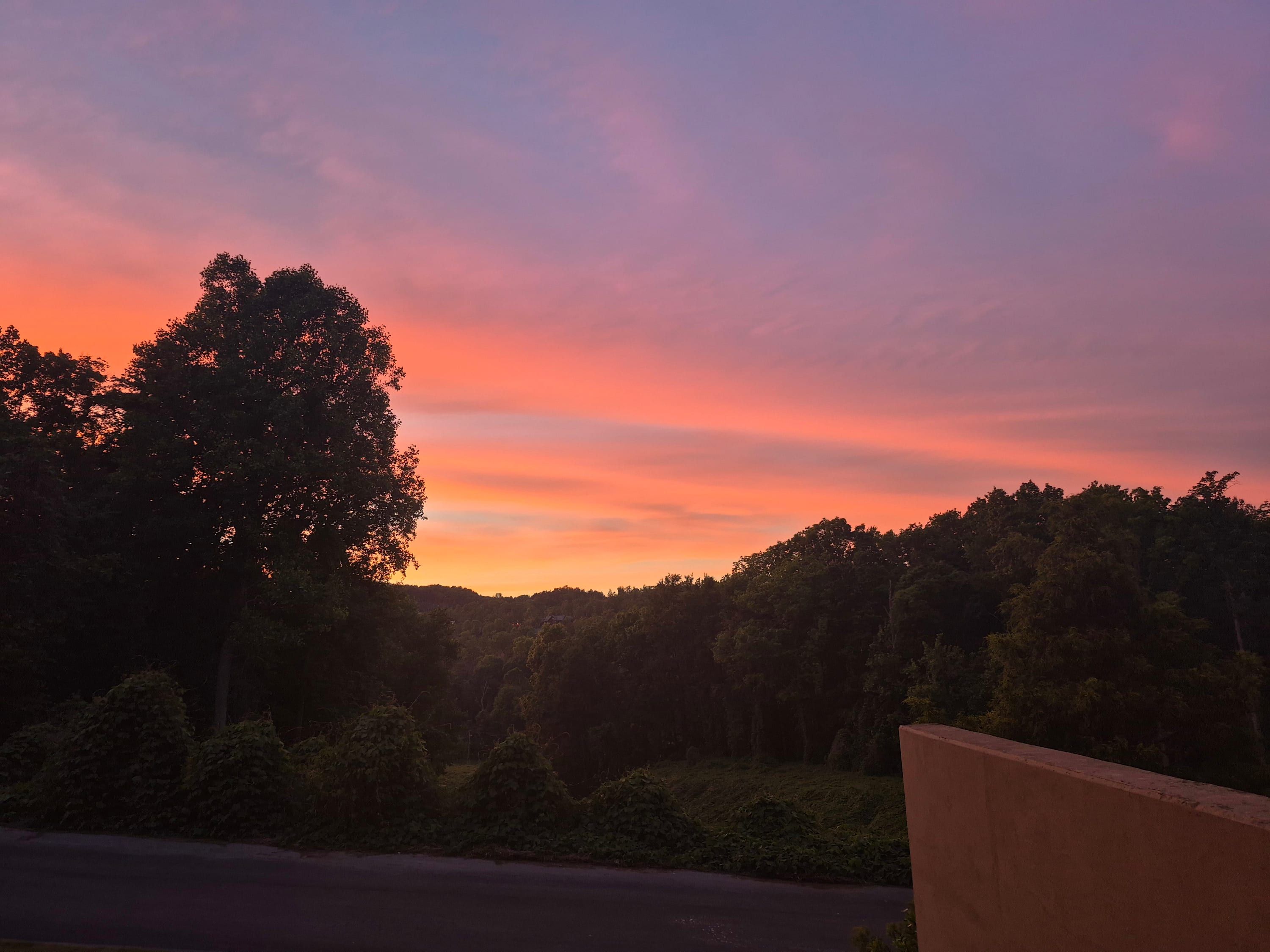 Un coucher de soleil avec une route et des arbres au premier plan.