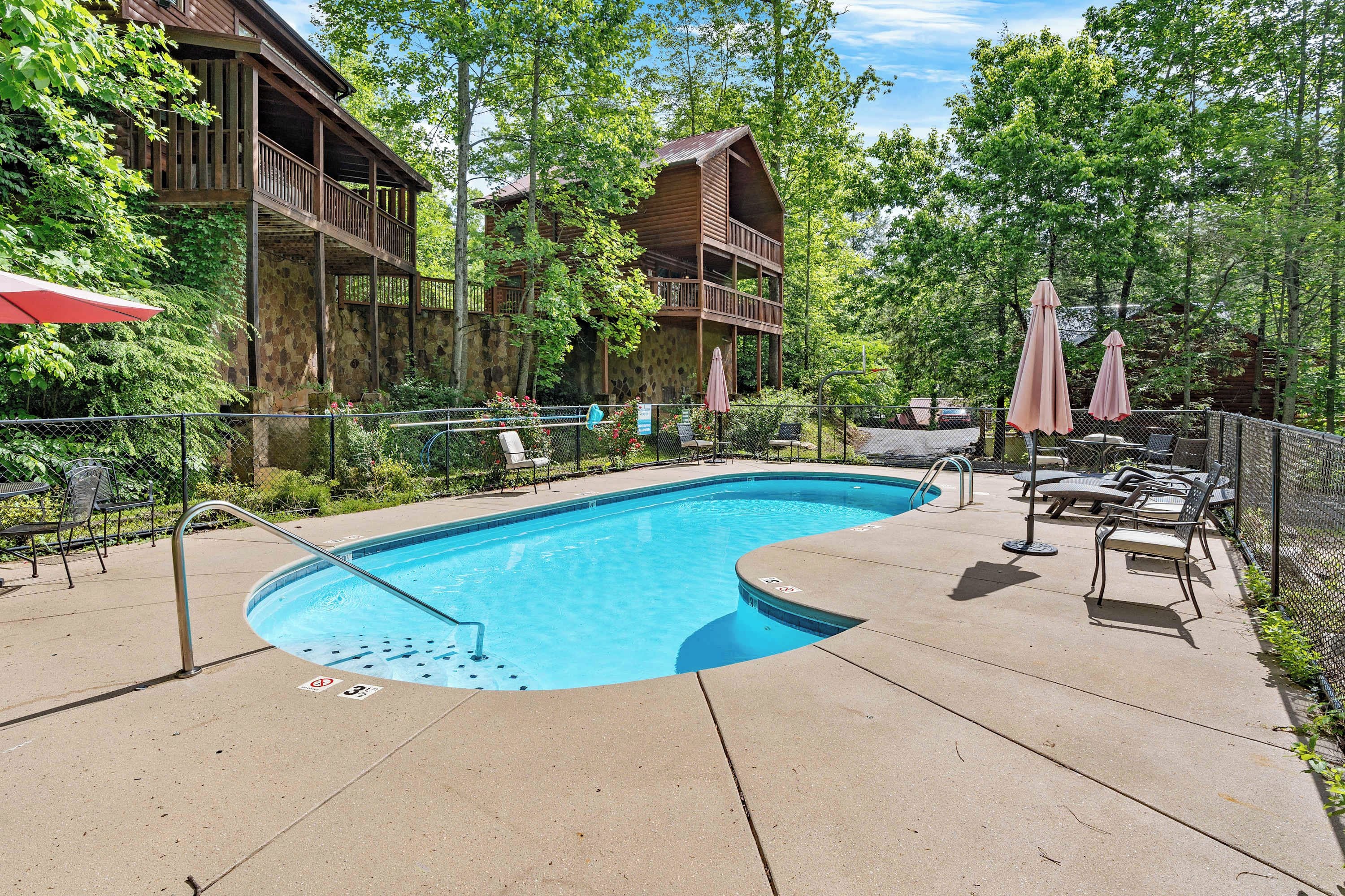 A swimming pool with lounge chairs and umbrellas, surrounded by a wooden cabin and lush greenery.