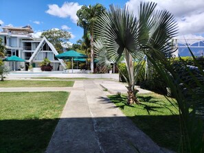 A building with a modern design, a paved pathway, and a palm tree.