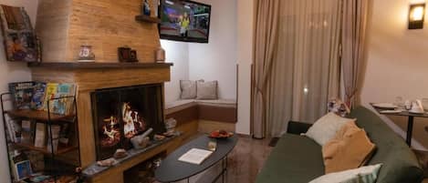 A living room with a fireplace, a green sofa, a flat-screen TV, and a bookshelf.