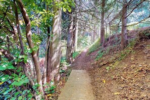 A narrow pathway flanked by trees and vegetation, leading into a forested area. - 1BR cabin with sound views, scenic deck, & grill (Gig Harbor)