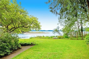 Un espacio al aire libre con césped, un banco, árboles y vistas a un lago.