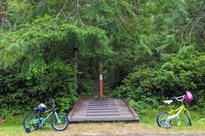 Eine Holzrampe führt in ein bewaldetes Gebiet, auf beiden Seiten stehen zwei Fahrräder geparkt.