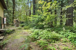 Ein bewaldetes Gebiet mit einer Holzterrasse und einem Gebäude, das sich links teilweise zeigt.