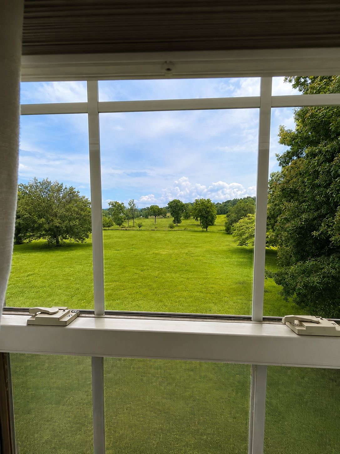 Una ventana con vista a un campo verde y árboles.