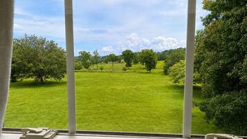 Una ventana con vista a un campo verde y árboles.