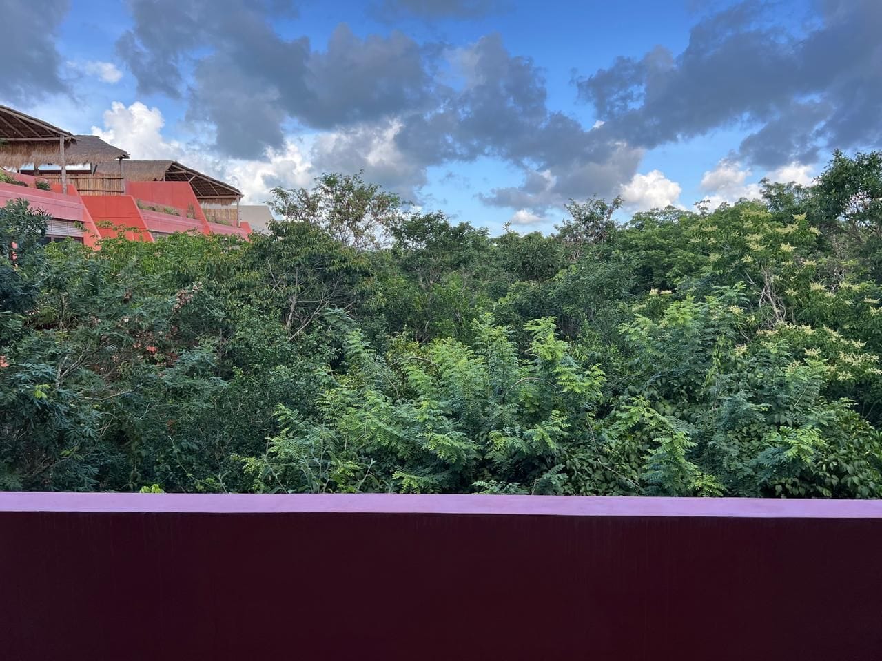 Une vue d’un bâtiment avec un toit rouge et, au premier plan, une forêt verdoyante et dense.