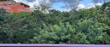 Une vue d’un bâtiment avec un toit rouge et, au premier plan, une forêt verdoyante et dense.