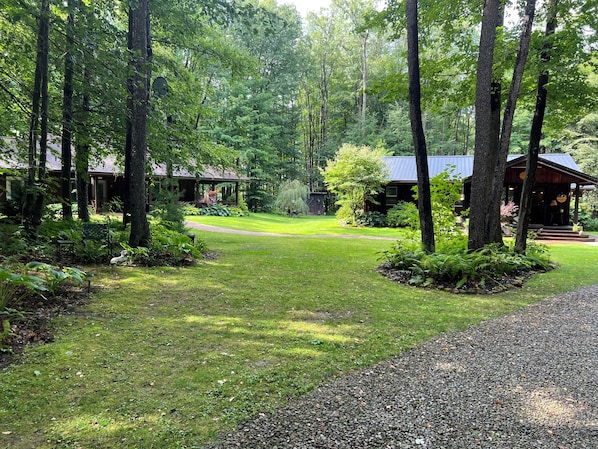 A forested area with a gravel path leading to a cabin with a porch.