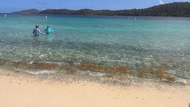 Strand