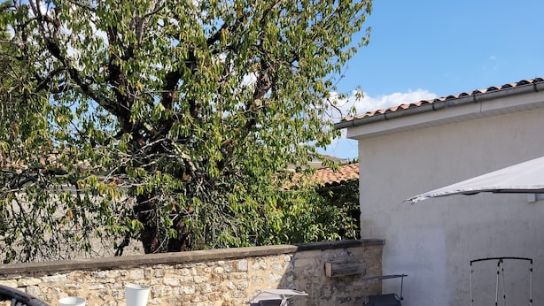 Property grounds - Maison 3 chambres avec patio centre ville de Jonzac animaux acceptés (Jonzac)