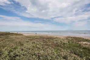 Een strand met een heldere lucht en zee, en begroeiing op de voorgrond.