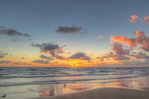 A beach scene with a sunset, ocean waves, and a bird on the sand. - Sunchase IV #509 - Gulf & Bay Views, Pools & Gym (South Padre Island)