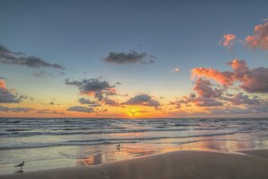 A beach with a sunset, waves, and a bird on the sand. - Sunchase IV #308 - Panoramic Gulf Views & Balcony (South Padre Island)