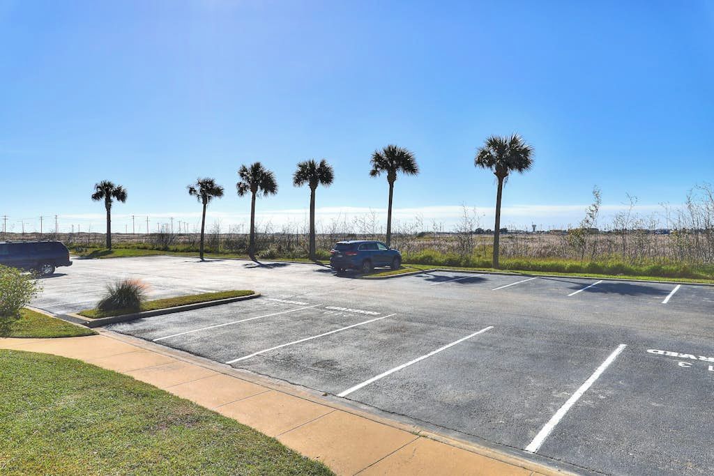 A parking lot with multiple parking spaces, a few parked cars, and palm trees in the background.