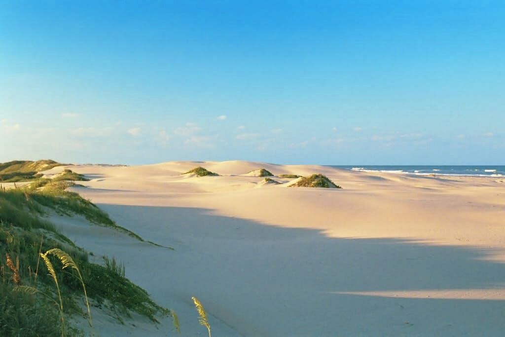 Una playa con dunas de arena y cielo despejado.