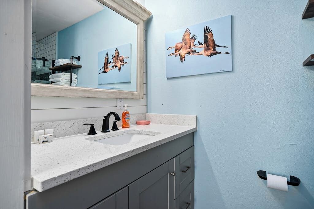 A bathroom with a white countertop, a black faucet, a mirror, and two framed pictures of birds on the wall.