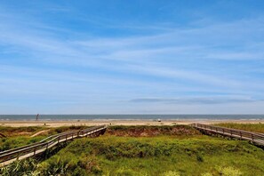 Ein Strand mit einem hölzernen Steg, der zum Wasser führt, umgeben von viel Grün.