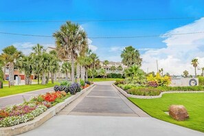 A pathway leading to a building with palm trees and flower beds on either side. - Seagull Cove - Waterfront, Bay Views & Garage (Galveston)