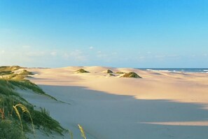 A beach landscape with sand dunes and sparse vegetation. - Marlin Street Townhome A (South Padre Island)