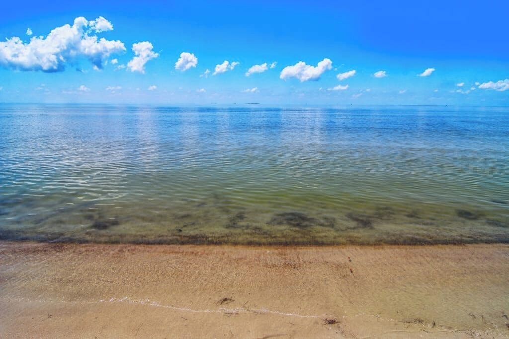 Una playa con agua cristalina y una orilla arenosa.