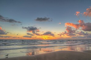 Ein Strand mit Sonnenuntergang, Wellen und einem Vogel im Sand.
