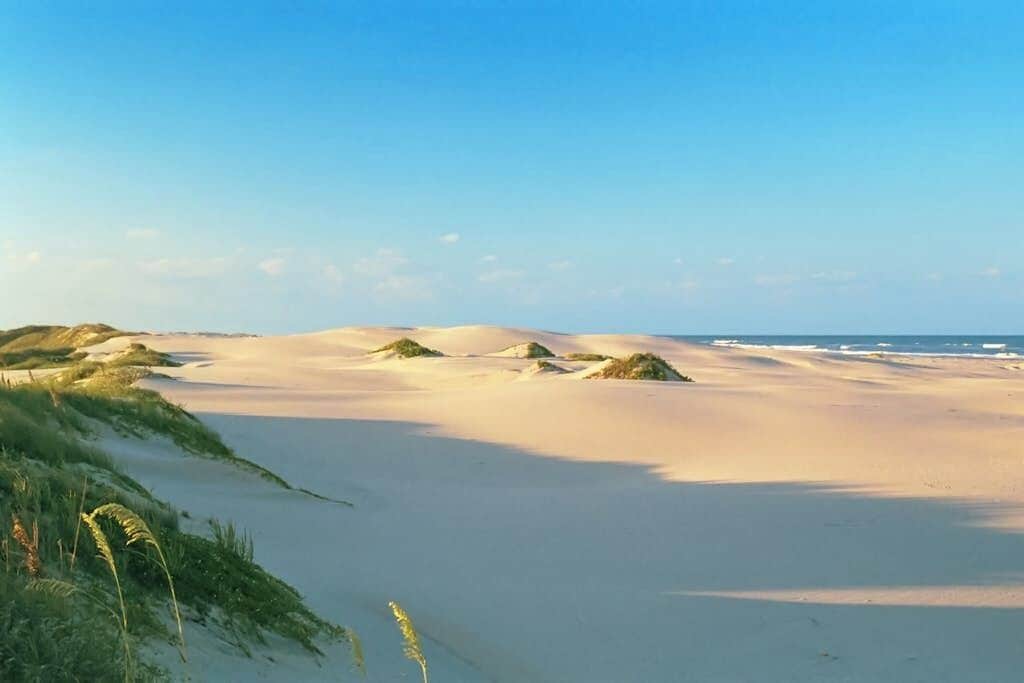 A beach with sand dunes and sparse vegetation.