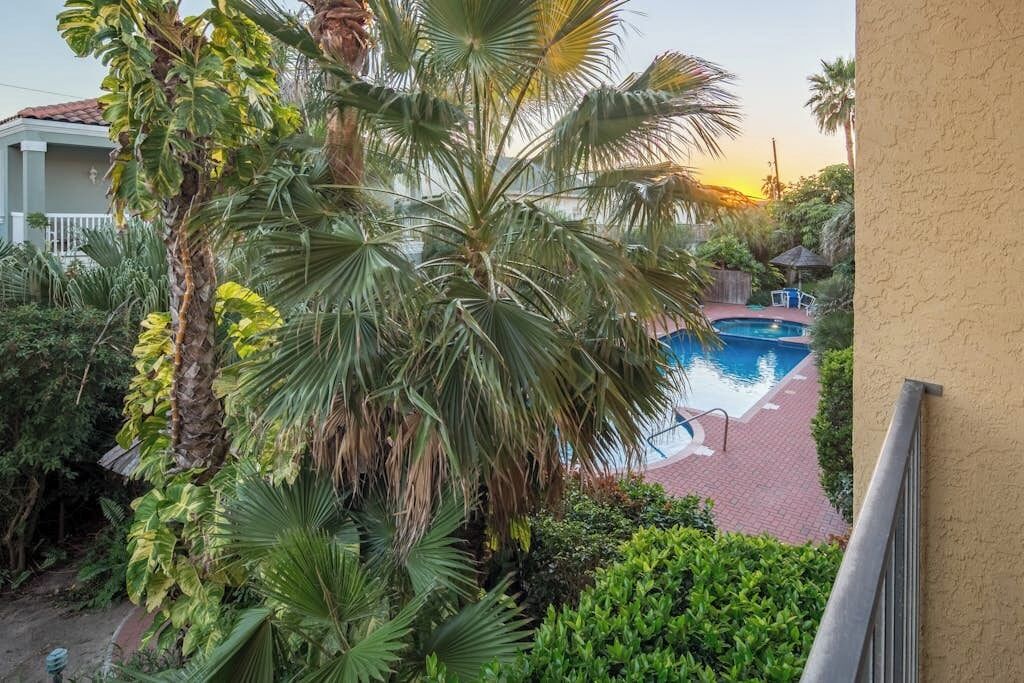 A pool area with a view of a building, surrounded by lush greenery and palm trees.