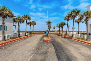 A street lined with palm trees and a white fence, leading to a building with a blue trash bin in the center. - Island Getaway - Pool, Hot Tub & Sauna Near Beach (Corpus Christi)