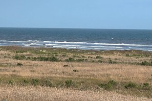 Eine Küstenlandschaft mit einer grasbewachsenen Vordergrund und dem Meer im Hintergrund.