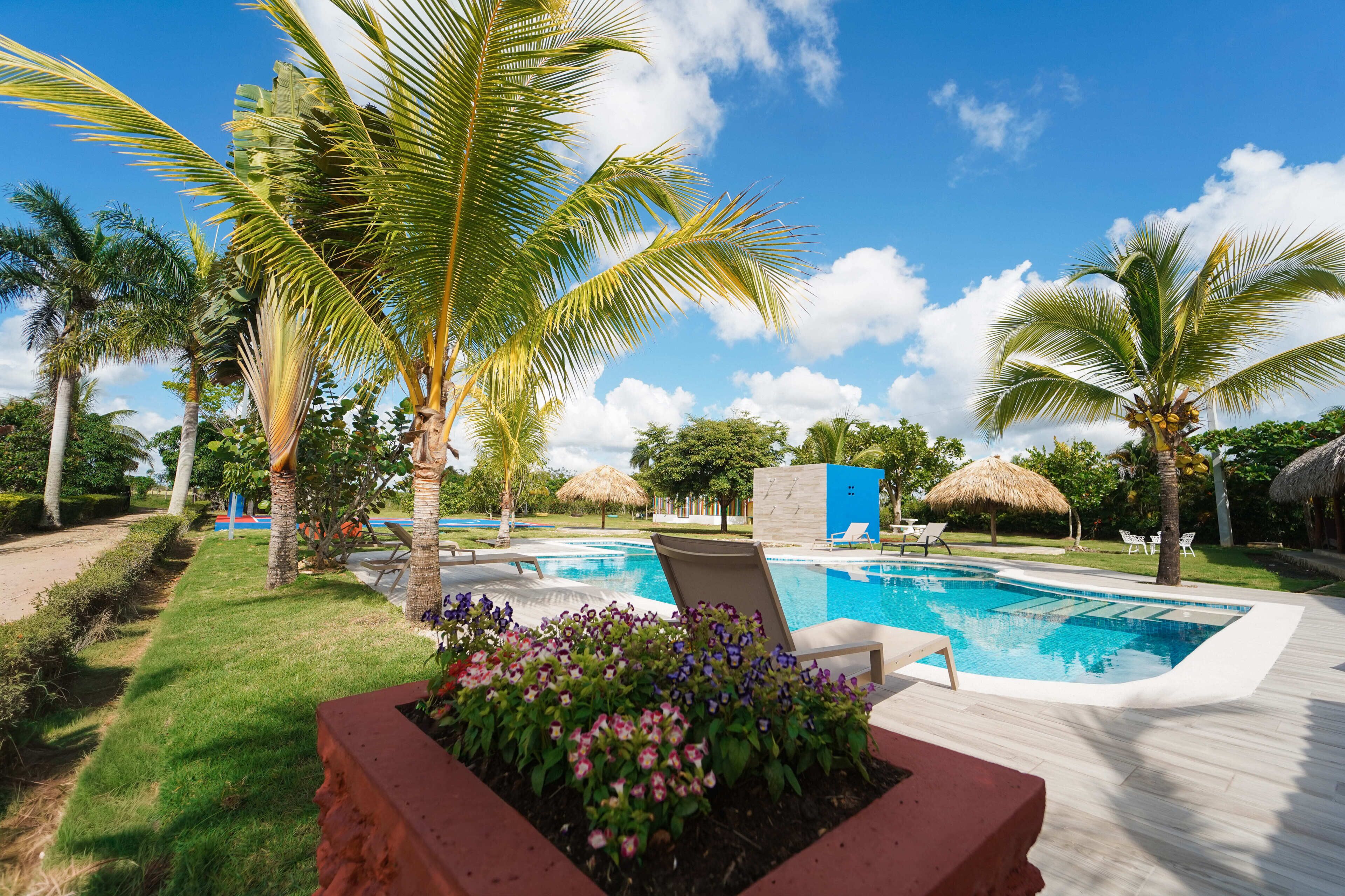 A swimming pool with lounge chairs, surrounded by palm trees and a flower bed.