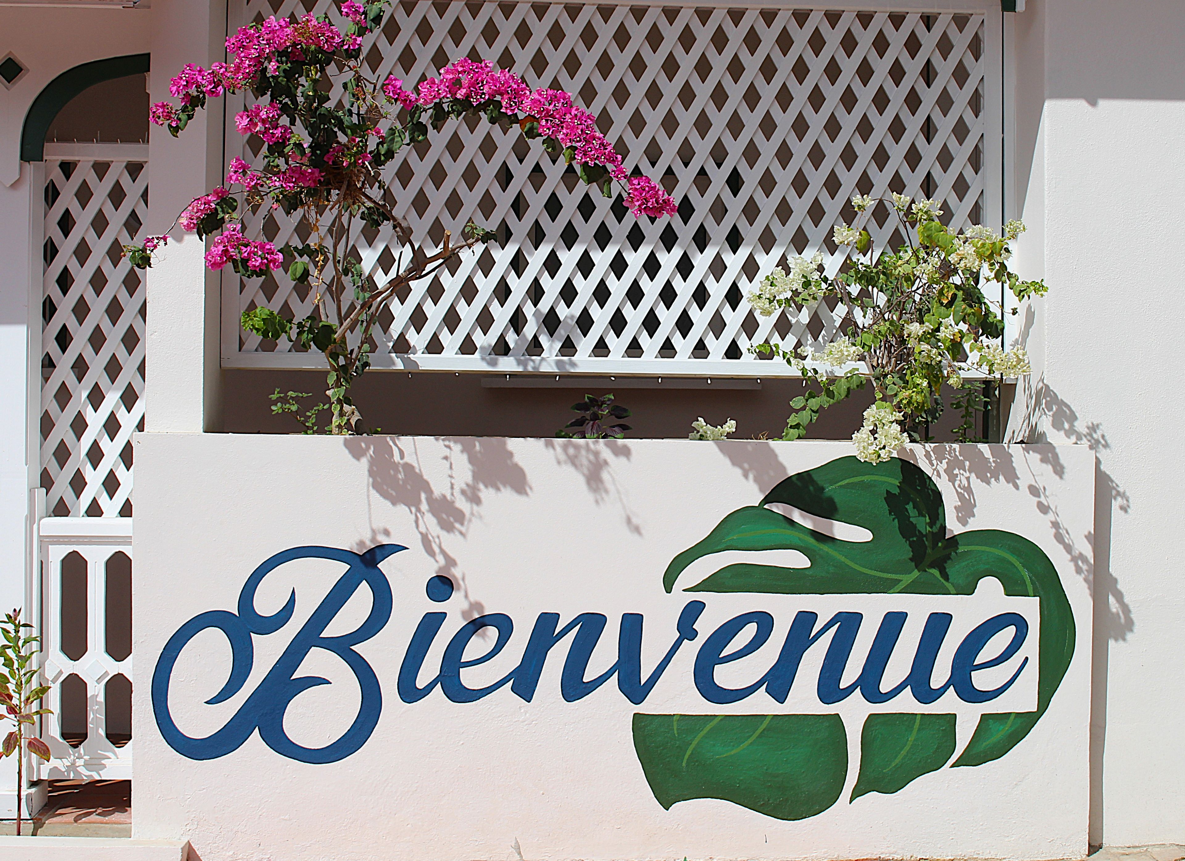 Una pared blanca con un cartel de 'Bienvenue' y un diseño de hoja verde.