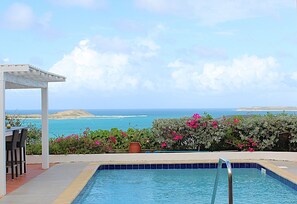 Una piscina con vistas al océano, una pérgola y plantas en flor.
