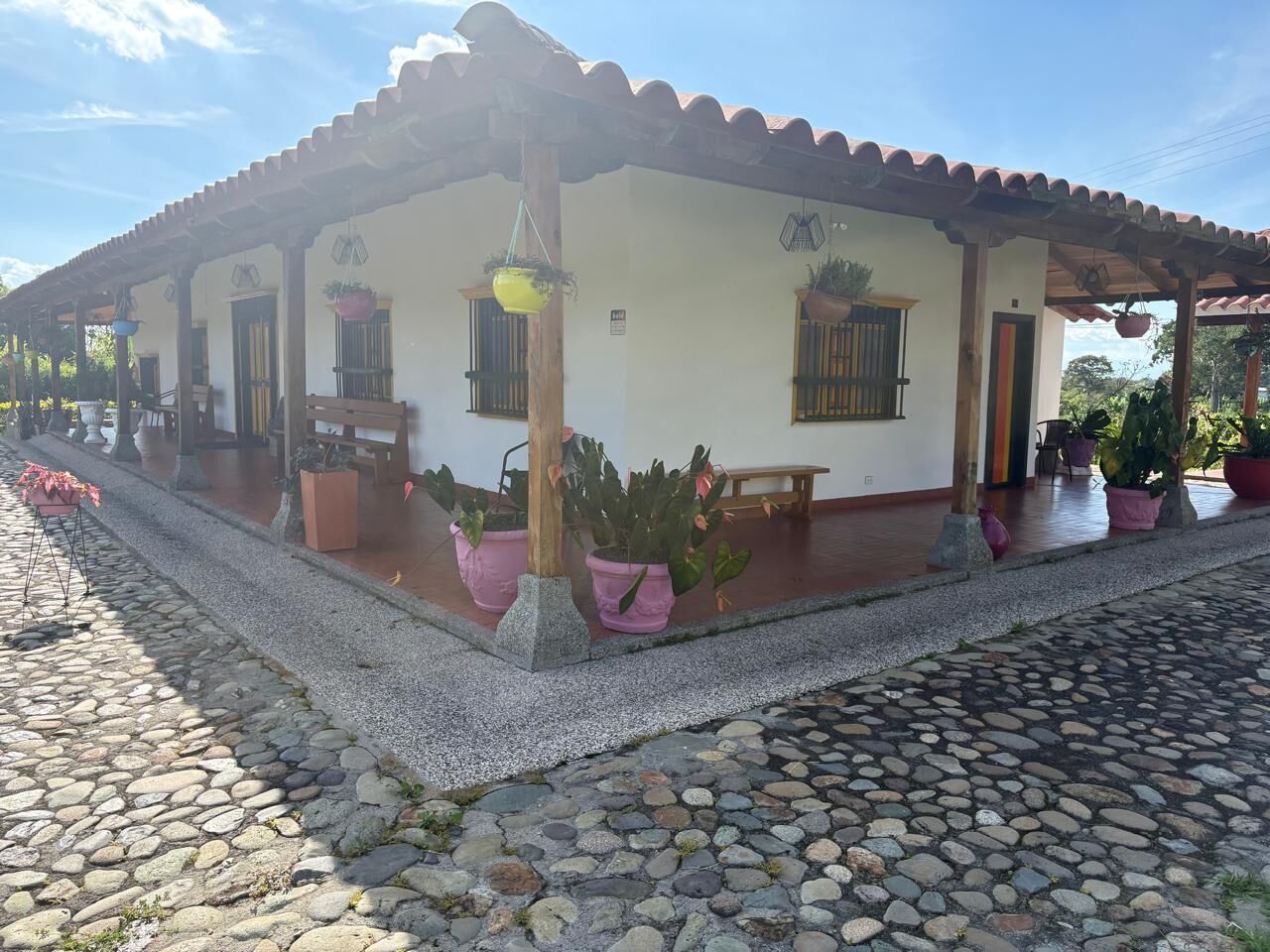 A building with a tiled roof, a porch with potted plants, and a stone-paved ground.