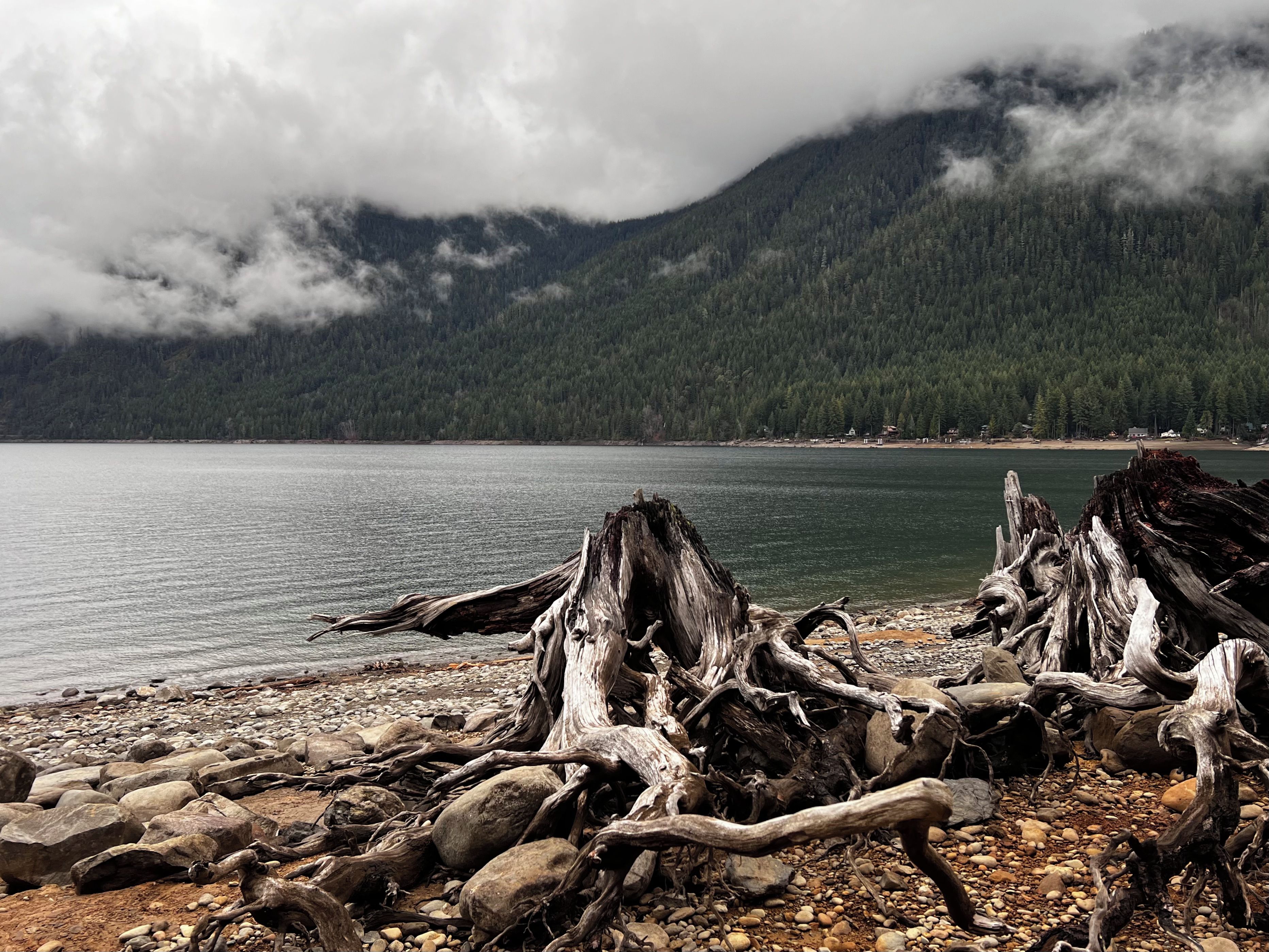A rocky shoreline with driftwood and a calm lake, surrounded by forested mountains.