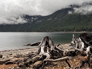 A rocky shoreline with driftwood and a calm lake, surrounded by forested mountains.