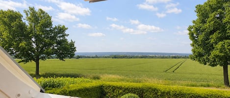 A balcony with a view of a green field and trees.