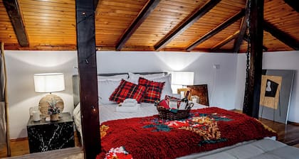 SLONA Heritage Home- 2 Bedroom B&B in the heart of OLD TOWN PLOVDIV