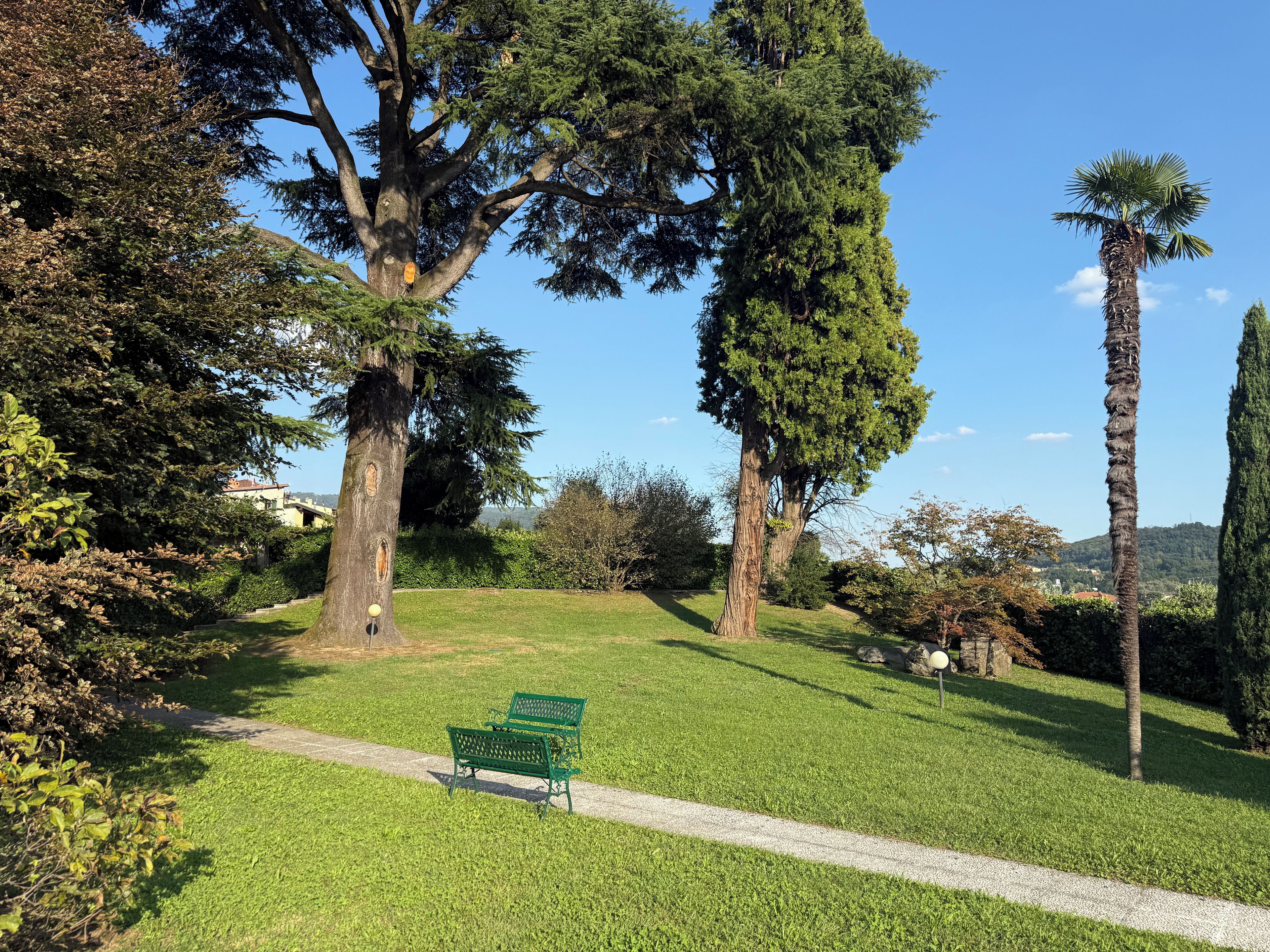 Un parco con una panchina verde, alberi e un cielo sereno.
